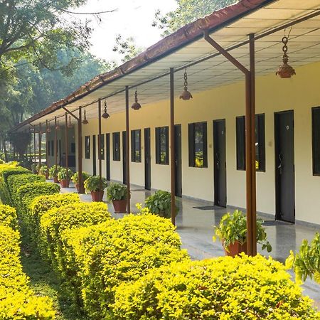 Narmada Hills Resort Godarpura Eksteriør billede