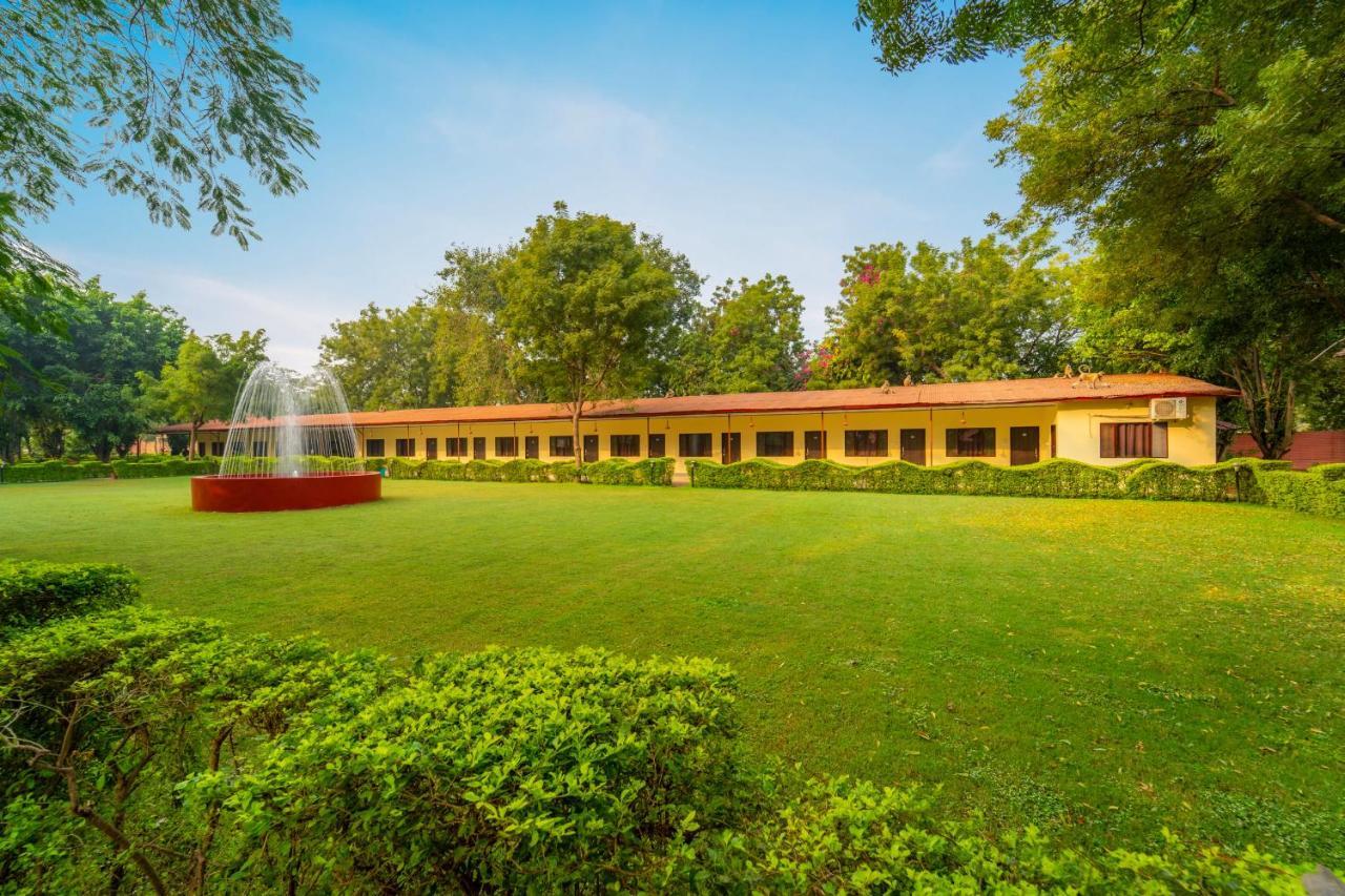 Narmada Hills Resort Godarpura Eksteriør billede