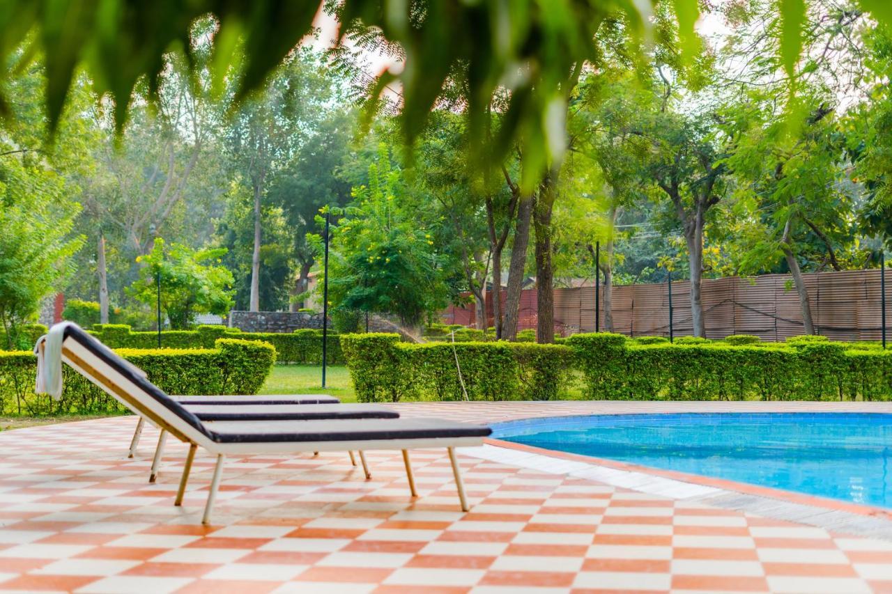 Narmada Hills Resort Godarpura Eksteriør billede