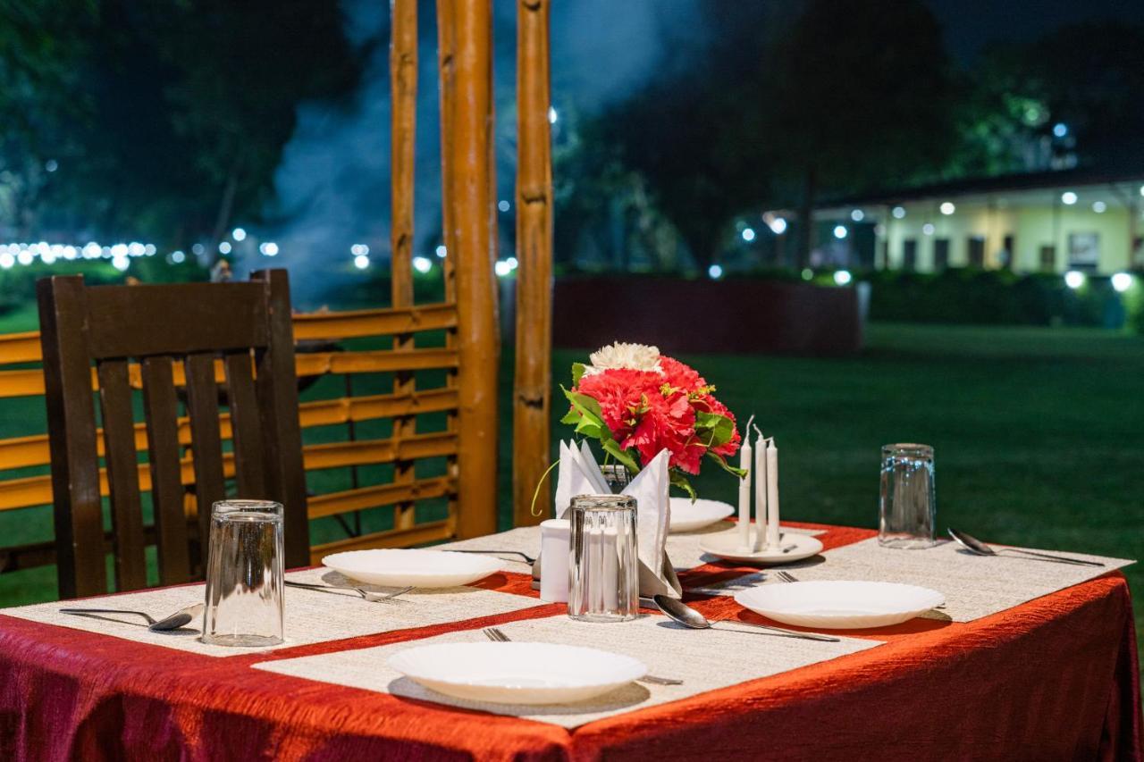 Narmada Hills Resort Godarpura Eksteriør billede